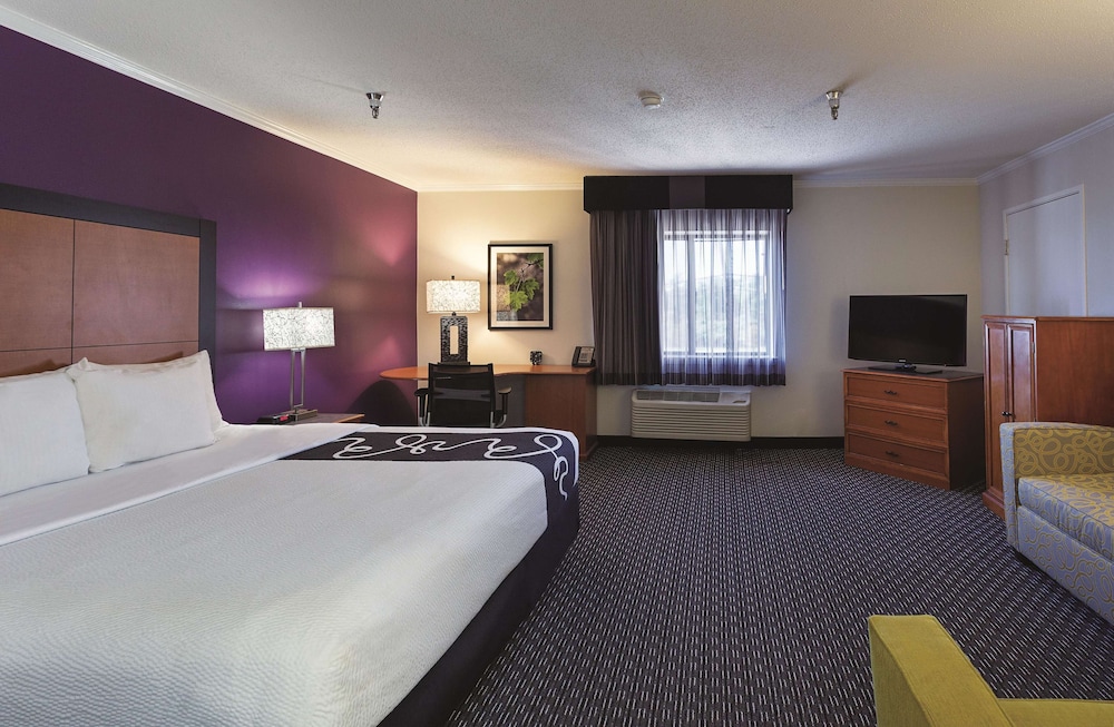 Deluxe Suite, 1 King Bed, Non Smoking - Photo 4