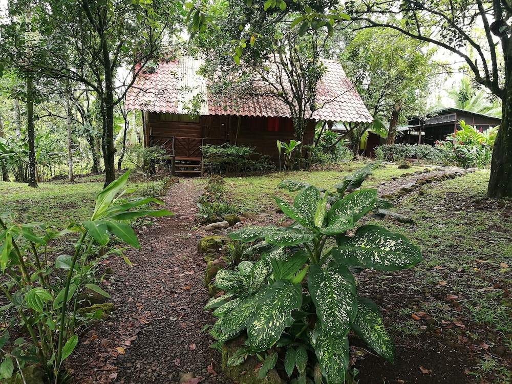Basic Cabin, 2 Bedrooms, Private Bathroom, Courtyard View photo 2