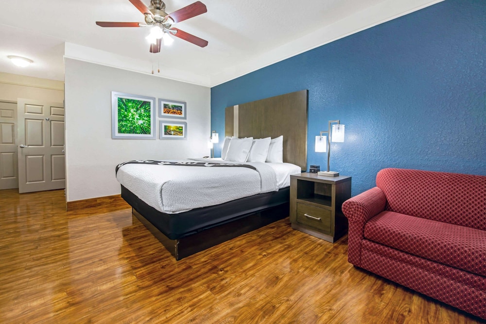 Room, 1 King Bed, Accessible, Non Smoking (Mobility,Roll-In Shower) - Photo 5