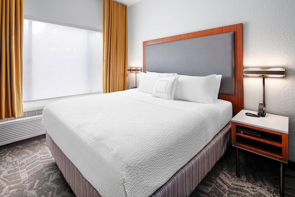 Suite, 1 King Bed with Sofa bed, Mountain View photo 3