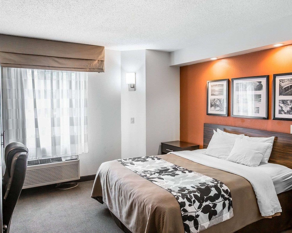 Room, 1 Queen Bed, Accessible, Non Smoking - Photo 1