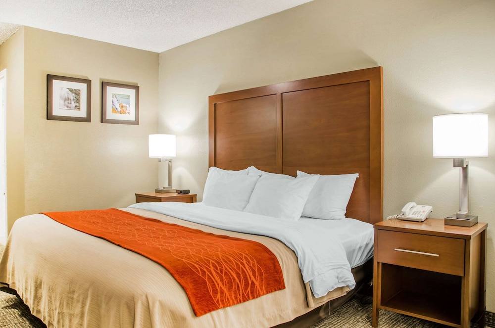 Room, 1 King Bed, Non Smoking - Photo 1
