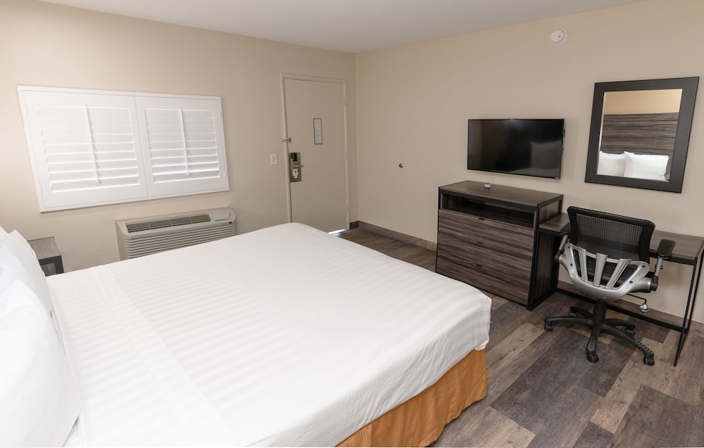 Room, 1 Queen Bed, Roll-in Shower, Non Smoking photo 1
