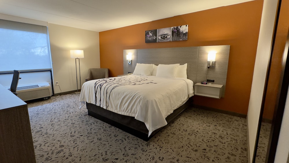 Superior Room, 1 King Bed photo 1