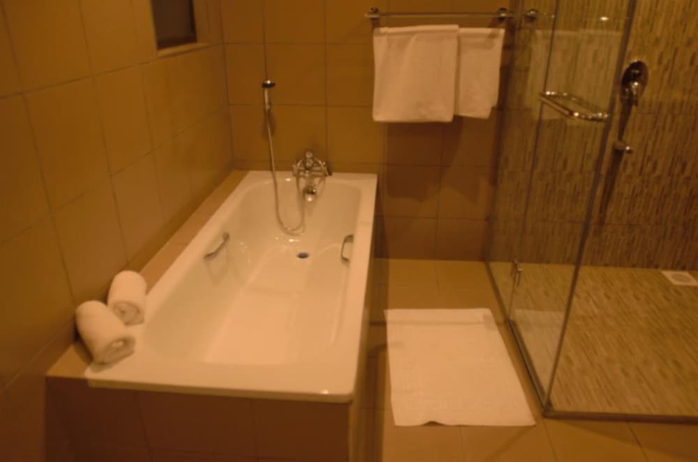 Deluxe Double Room photo 3