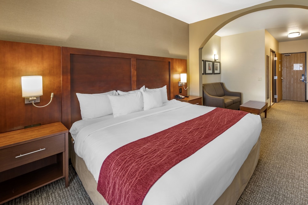 Studio Suite, 1 King Bed, Non Smoking - Photo 1
