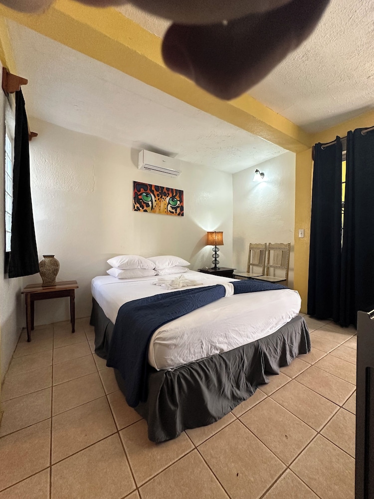 Standard Room, 1 Queen Bed, Refrigerator, Courtyard View photo 3