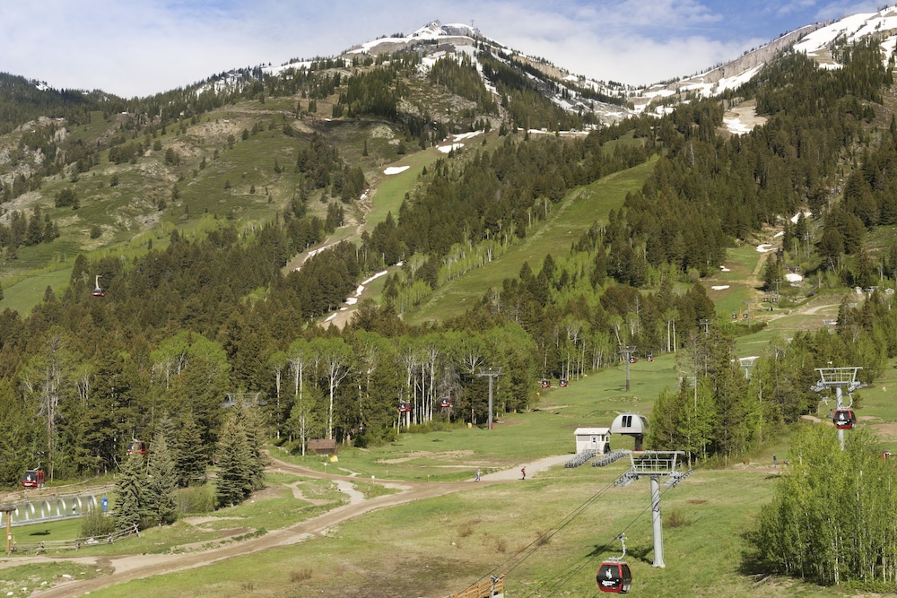 Suite, 1 Bedroom, Mountain View - Photo 8