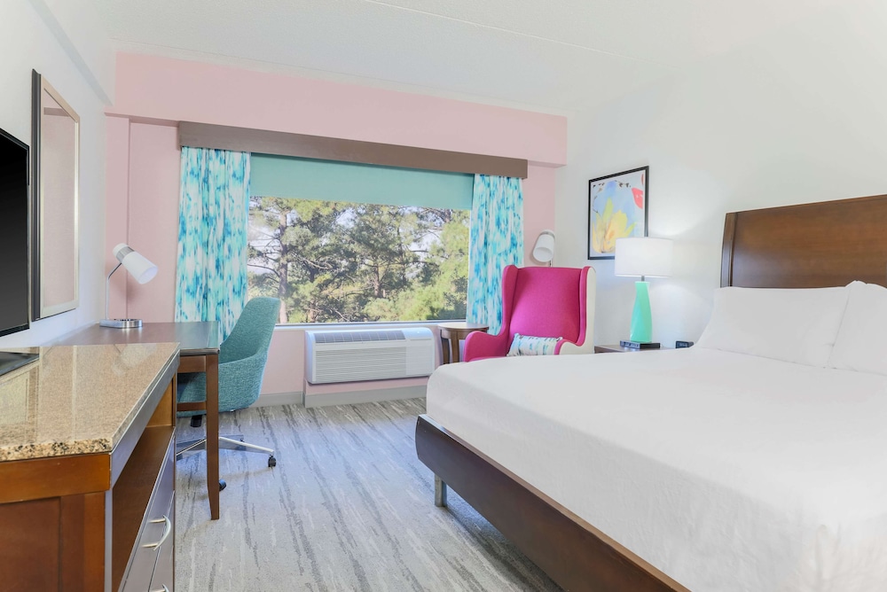 Room, 1 King Bed, Accessible (Mobility & Hearing, Roll-In Shower) photo 3