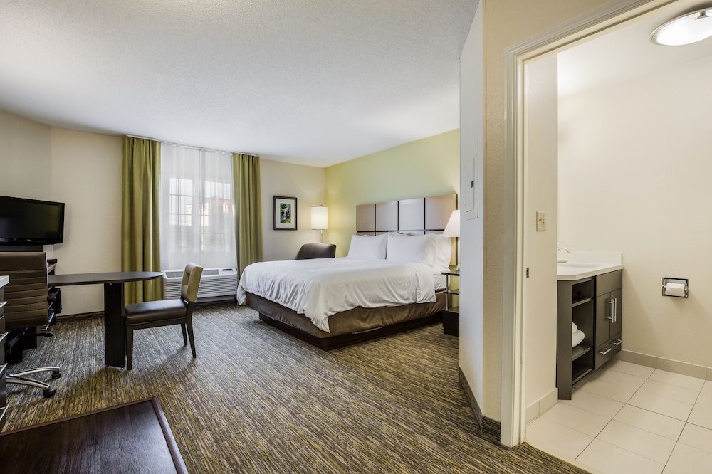 Studio Suite, 1 Queen Bed, Kitchen - Photo 4