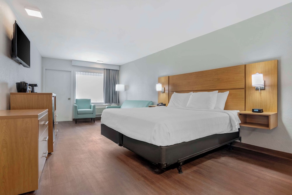 Standard Room, 1 King Bed, Non Smoking