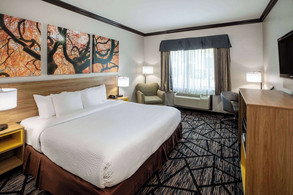 Room, 1 King Bed, Accessible, Non Smoking (Mobility/Hearing, Bathtub w/Grab Bars) - Photo 1