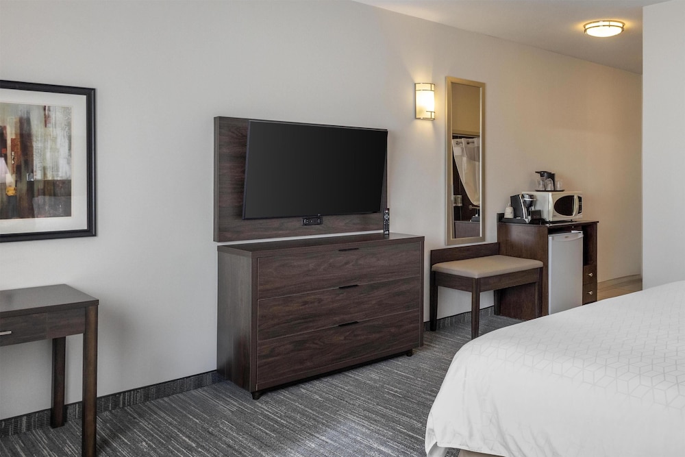 Standard Room, 1 King Bed, Accessible, Non Smoking (Dining Table) - Photo 3