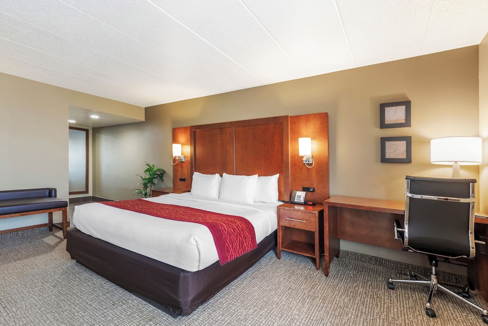 Suite, 1 King Bed with Sofa bed, Accessible, Non Smoking photo 1
