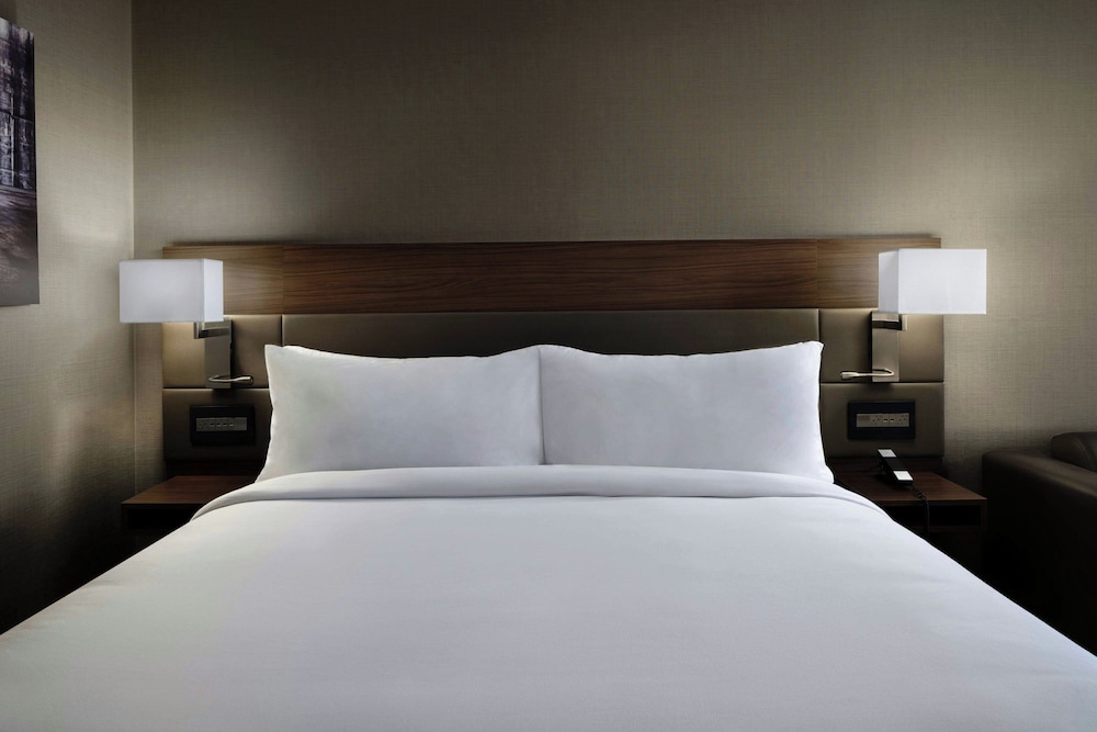 Room, 1 King Bed with Sofa bed photo 1