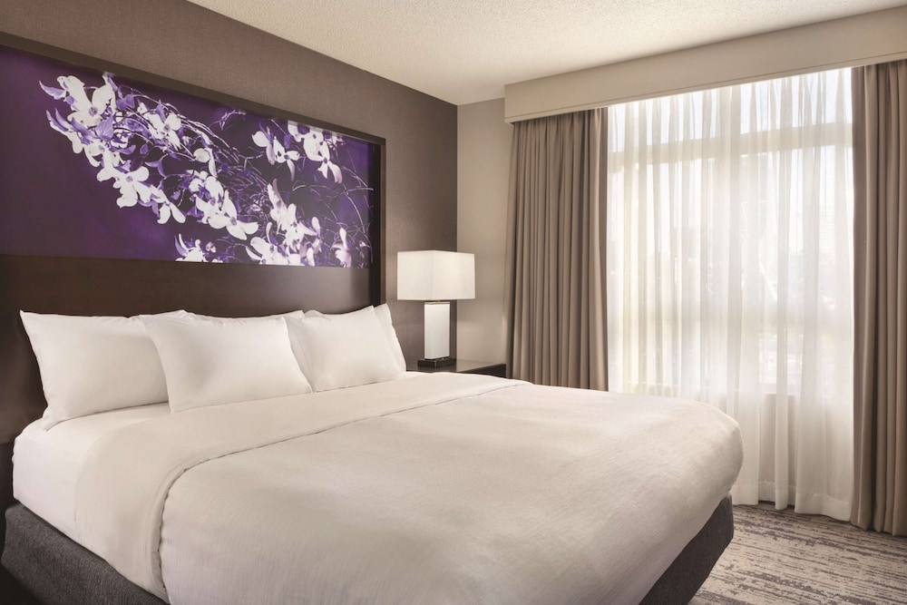 Suite One King Bed - Photo 3