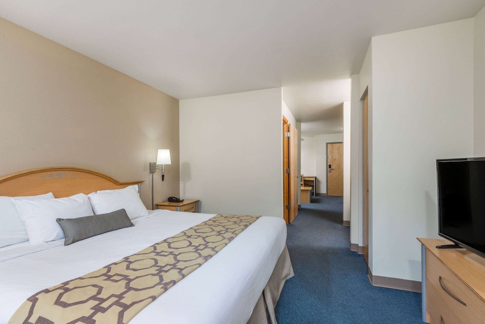 Suite, 1 Bedroom, Non Smoking (1 KINGBED) - Photo 1