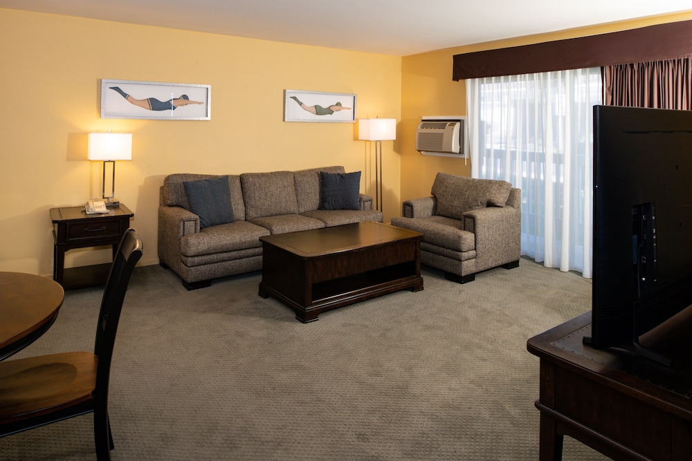 Suite - Photo 1