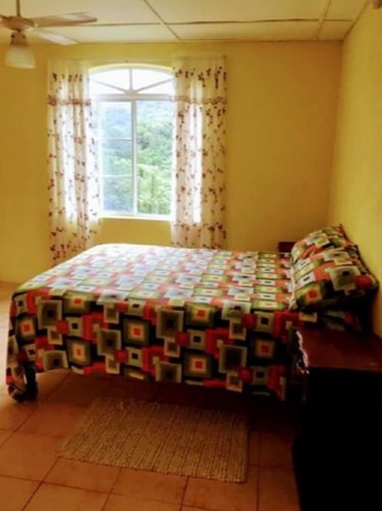 Standard Room, 1 Queen Bed, Mountain View, Mountainside (Apt.1)