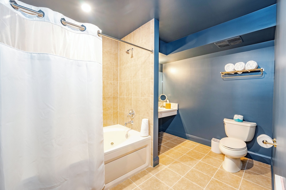 Premium Studio Suite photo 3