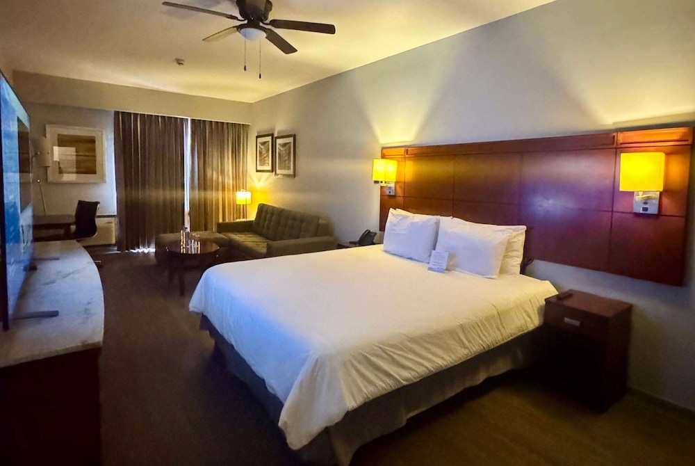 Room, 1 King Bed, Non Smoking photo 1