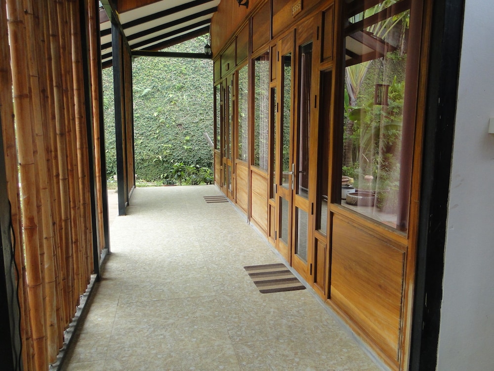 Superior Villa photo 3
