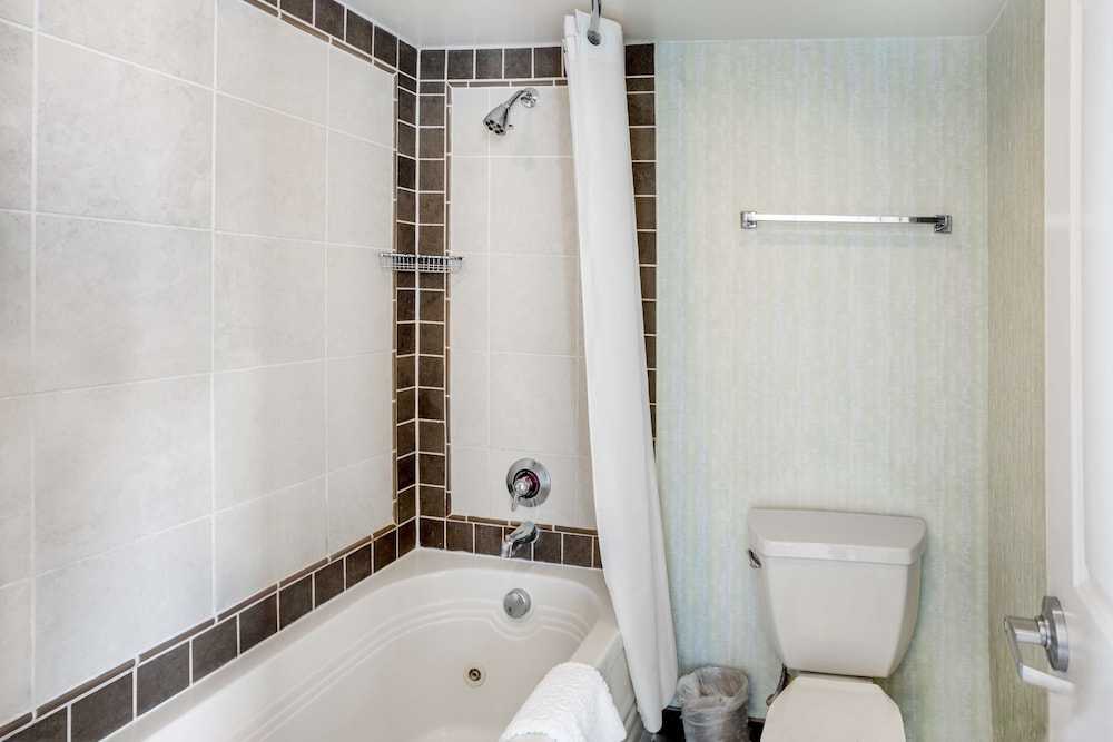 Suite, 1 Bedroom - Photo 17