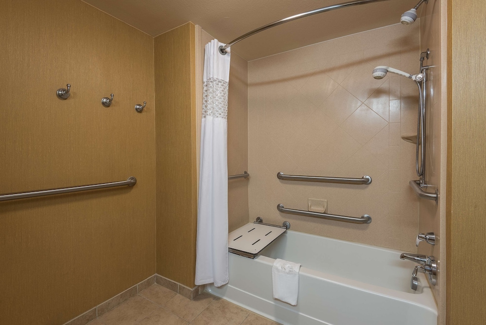 Suite, 1 King Bed, Accessible, Bathtub (Mobility & Hearing) - Photo 4