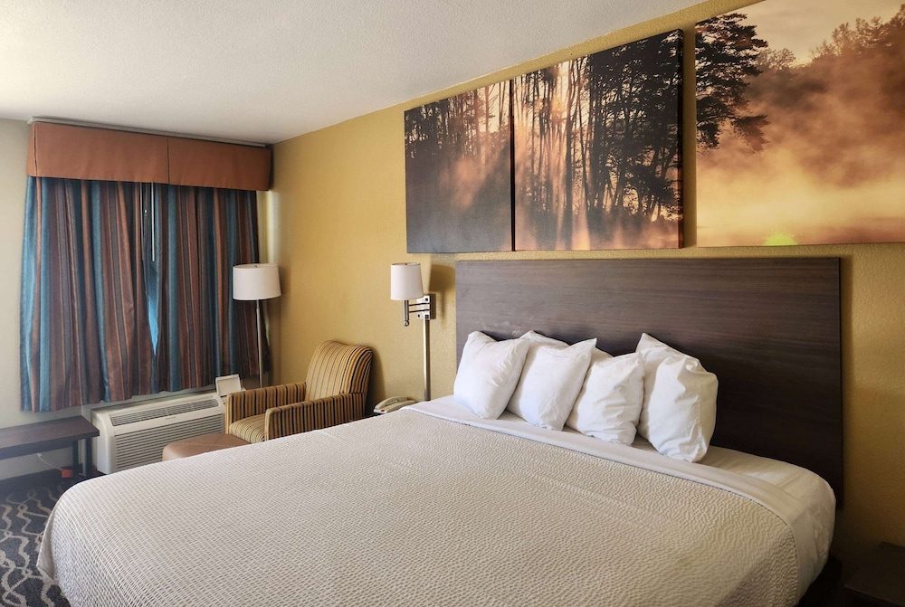 Standard Room, 1 King Bed, Smoking - Photo 1