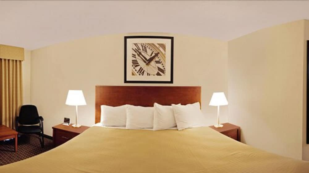 Standard Room, 1 King Bed with Sofa bed, Non Smoking - Photo 4