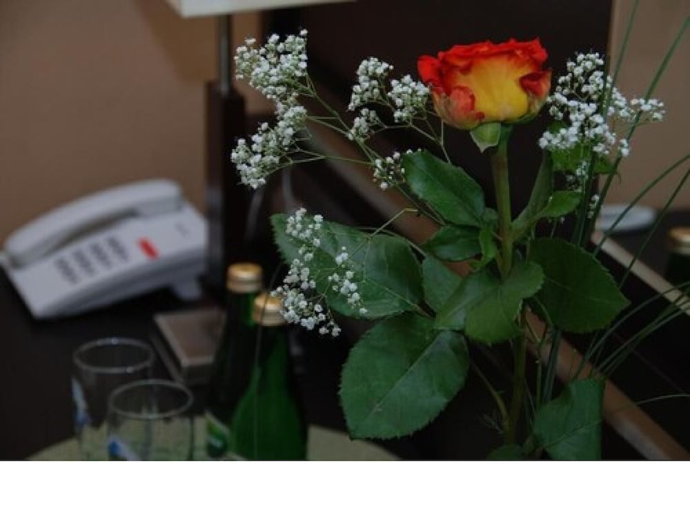 Luxury Single Room, 1 Twin Bed, Terrace photo 3