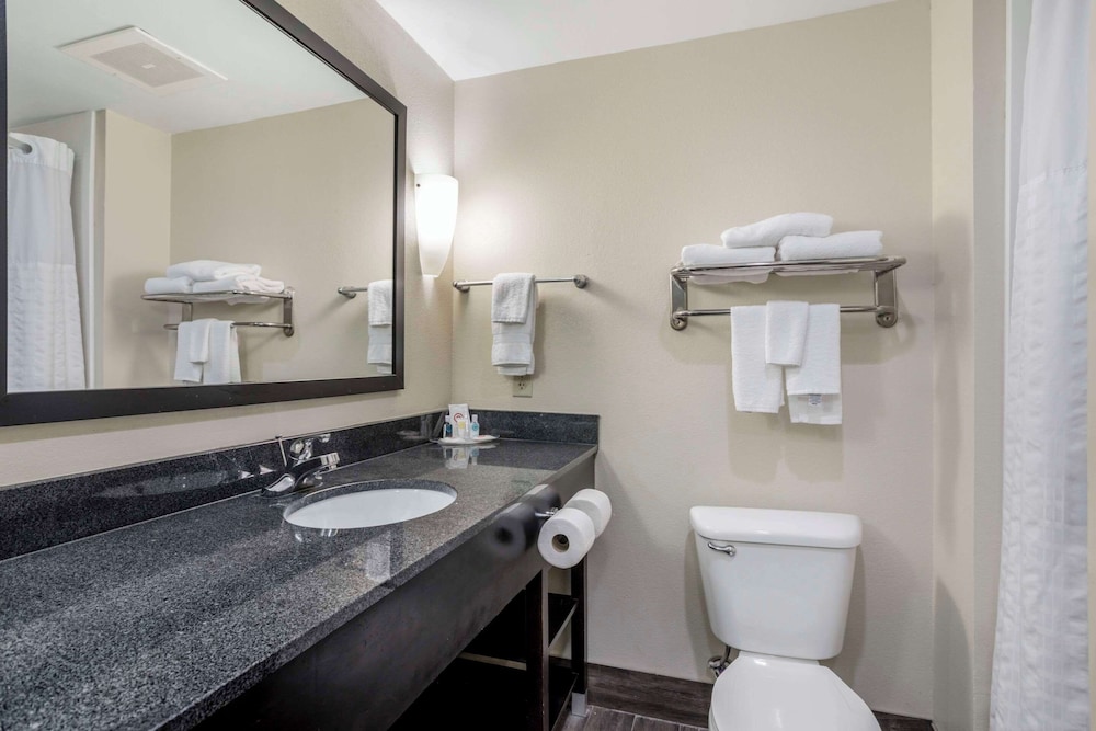 Suite - Photo 4