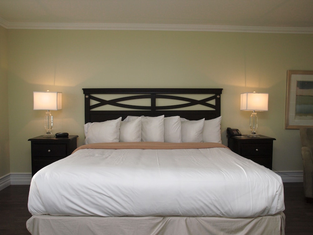 Deluxe Suite, 1 King Bed, Jetted Tub photo 3