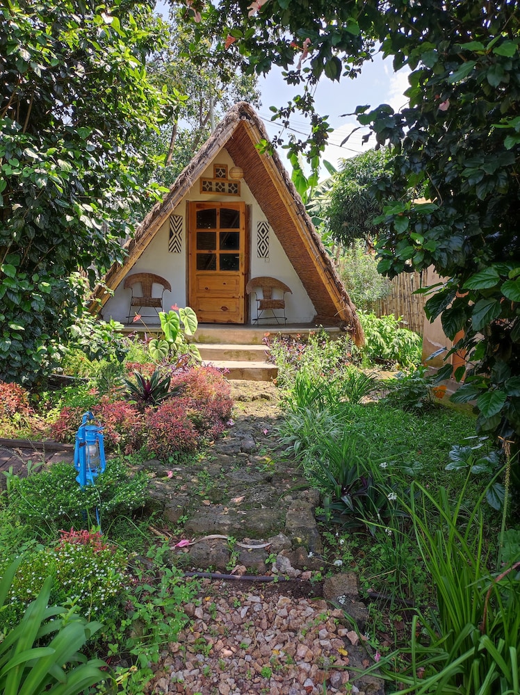 Basic Cabin photo 1