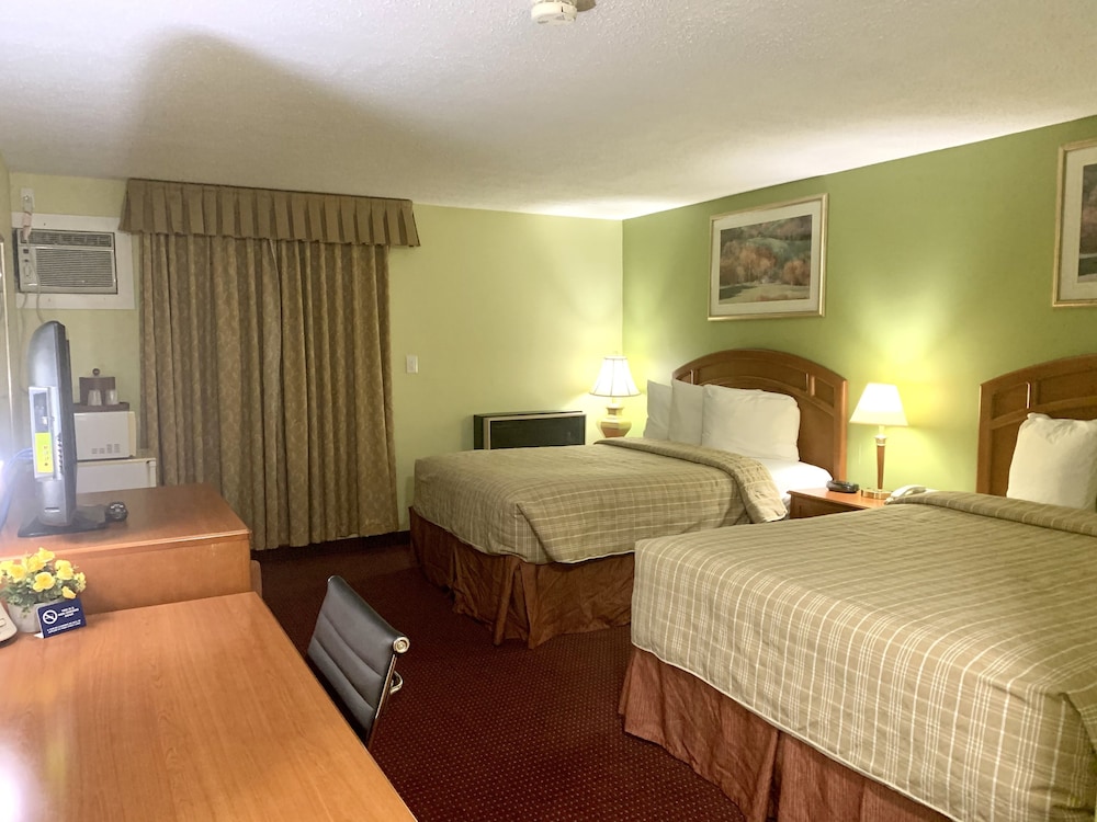 Superior Double Room, 2 Queen Beds photo 1