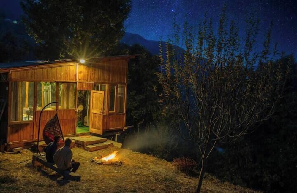 Tree House photo 3