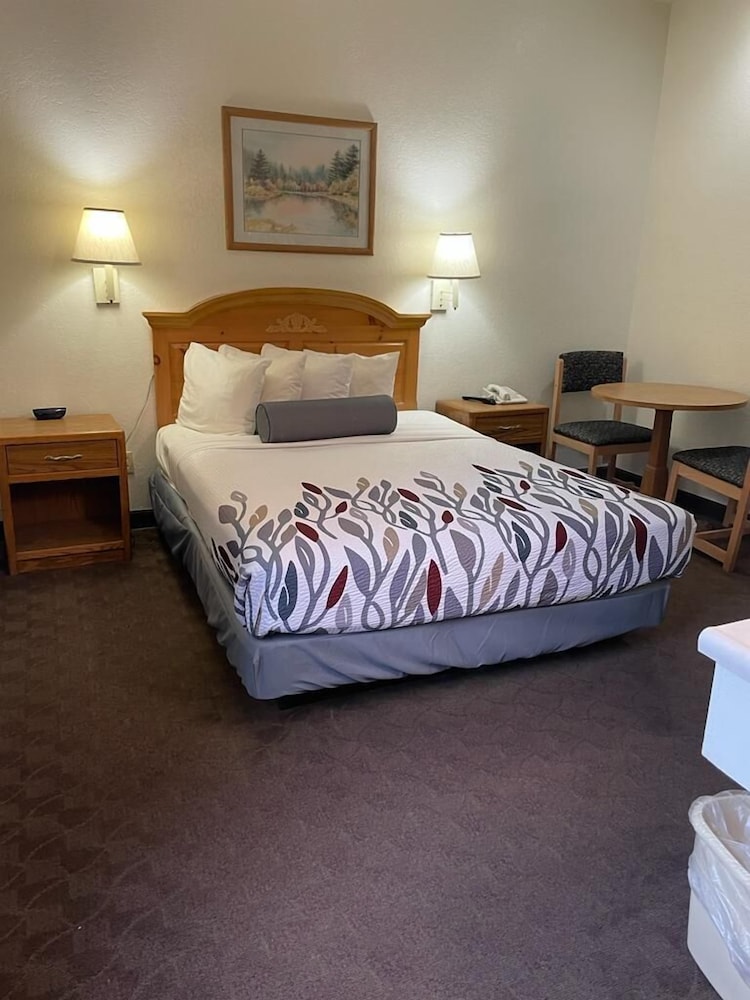 Deluxe Room, 1 Queen Bed, Non Smoking photo 3