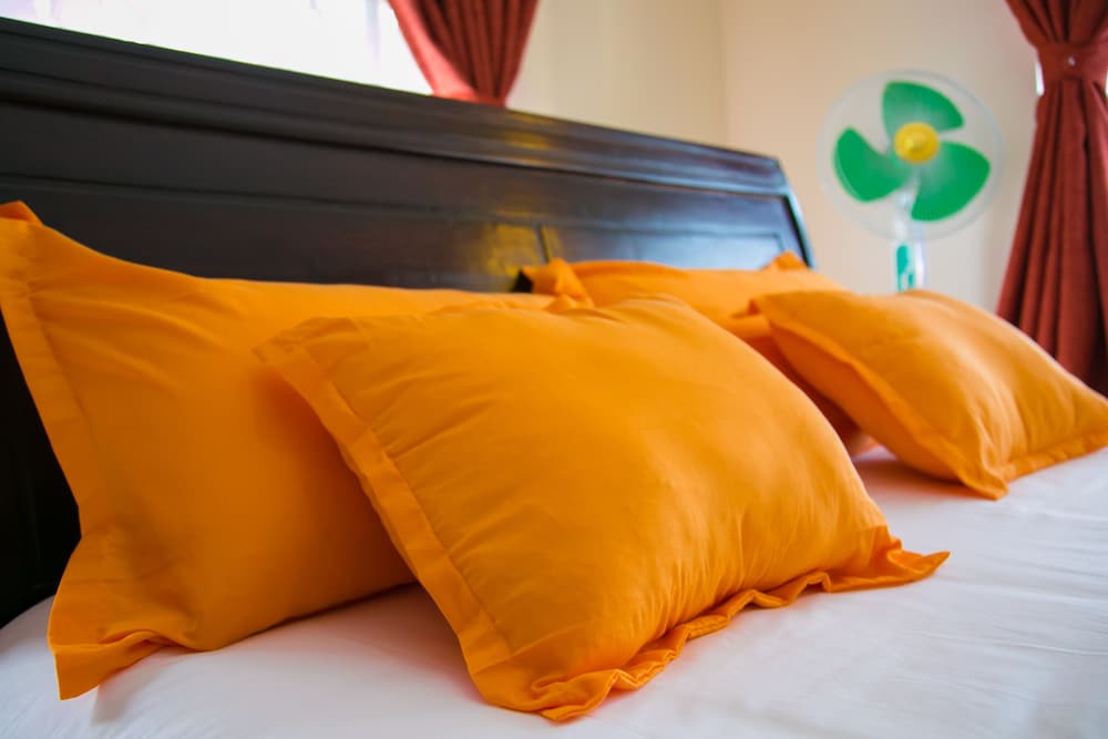 Deluxe Suite, 1 King Bed photo 2