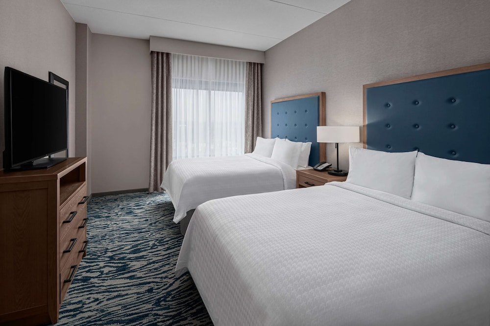 Suite, Multiple Beds photo 1