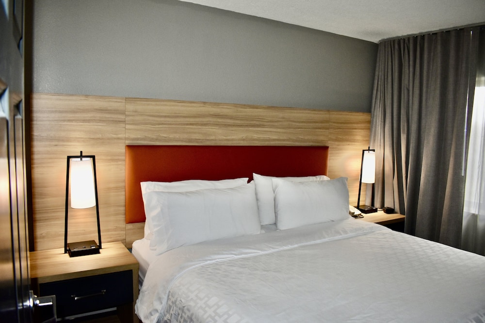 Suite, 1 Bedroom - Photo 3