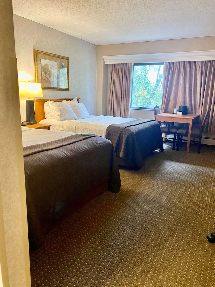 Traditional Room, 2 Queen Beds, Non Smoking, Refrigerator & Microwave - Photo 3