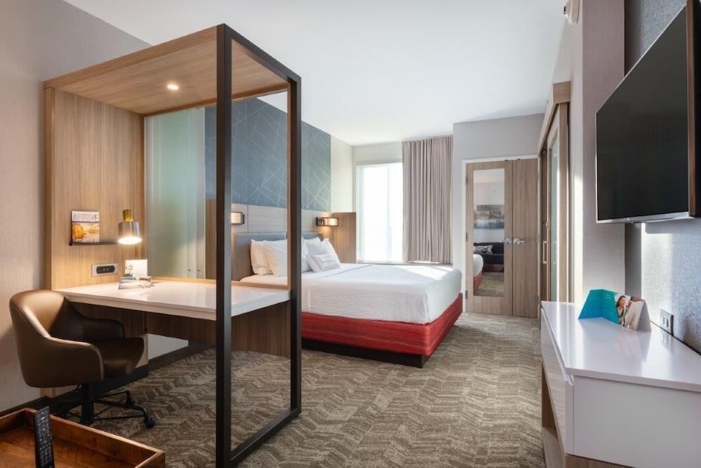 Suite, 1 King Bed (Mobility Accessible, Roll-In Shower) - Photo 4