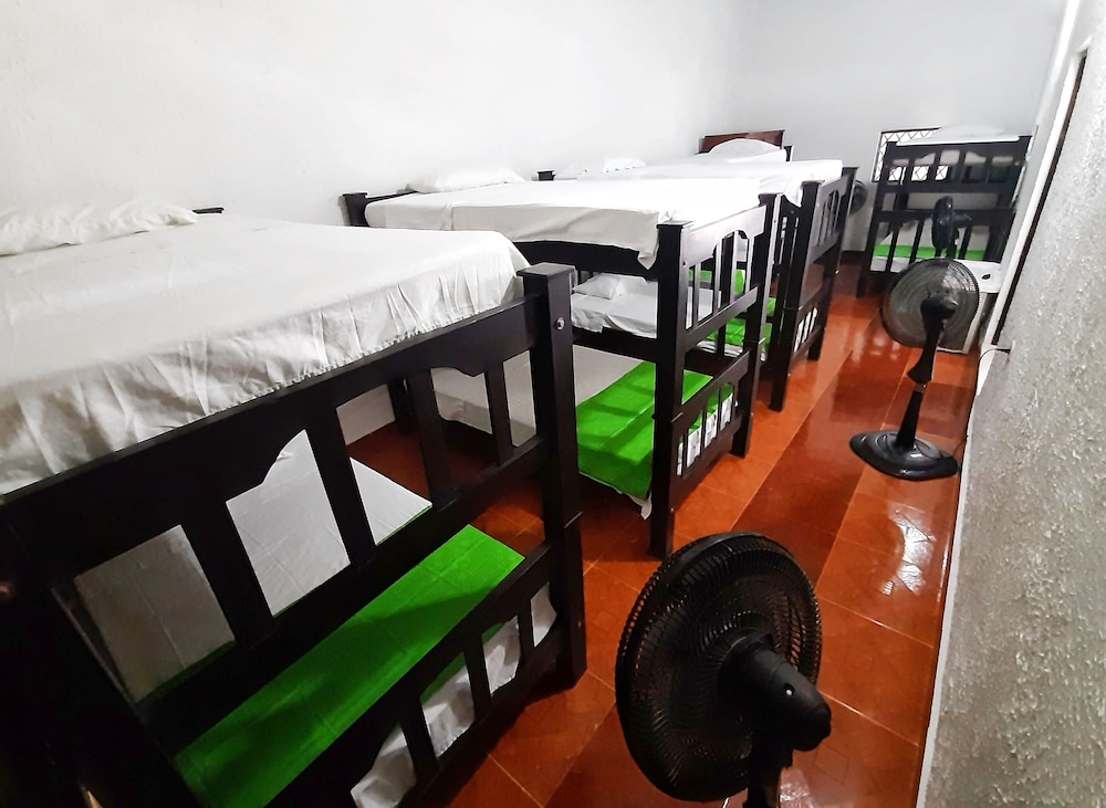 Basic Shared Dormitory, Mixed Dorm photo 1