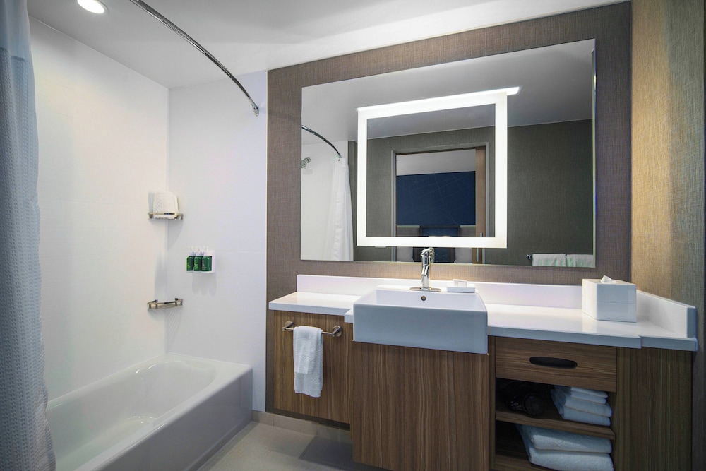Suite, 1 King Bed - Photo 5