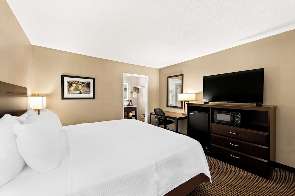Standard Room, 1 King Bed, Non Smoking, Refrigerator & Microwave (Pet Friendly)