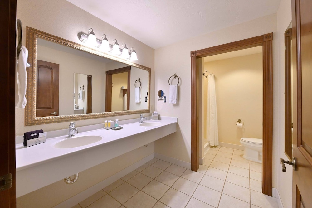 Executive Suite photo 3