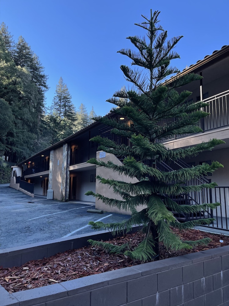 The Historic Brookdale Lodge, Santa Cruz Mountains, Foto 18