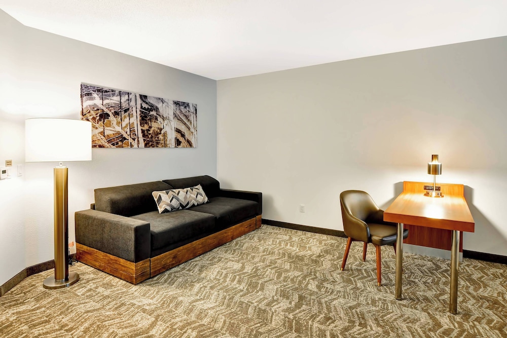 Studio, Multiple Beds (Mobility/Hearing Access, Roll-In Shwr) photo 3