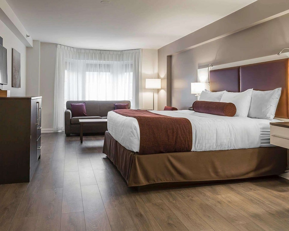 Standard Room, 1 King Bed with Sofabed, Non Smoking