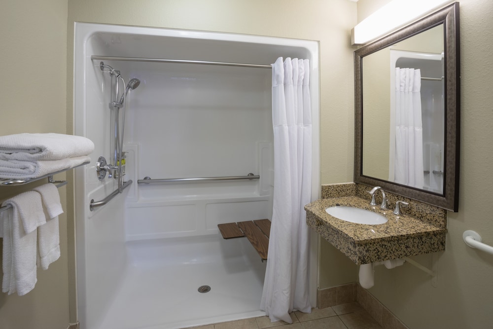 Suite, 1 Bedroom, Accessible (Mobil Roll Shwr) - Photo 5